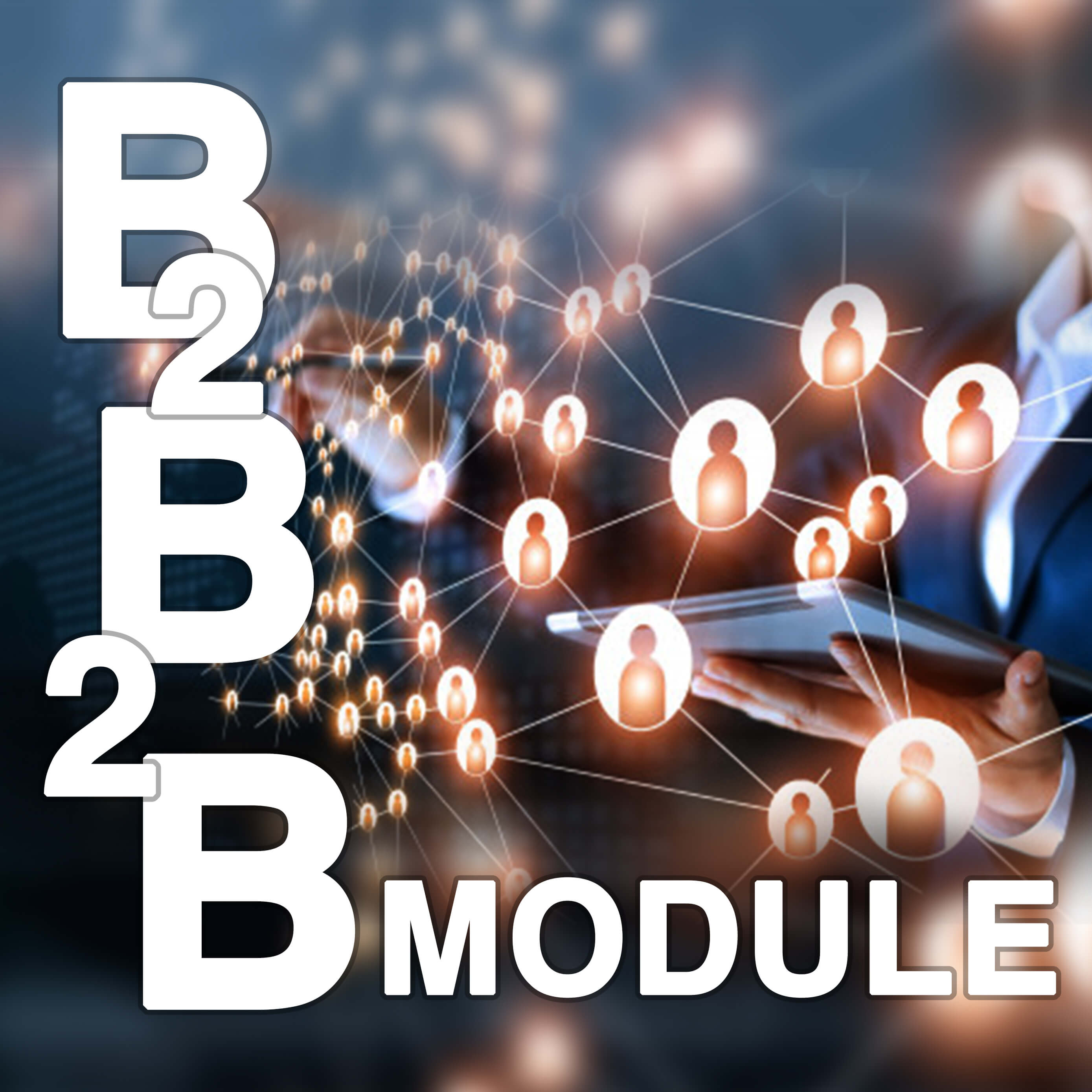 b2b2b-module